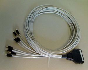 [Photo of Hydra cable - Telco to RJ45]